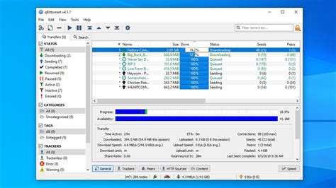 Torrent Manager .